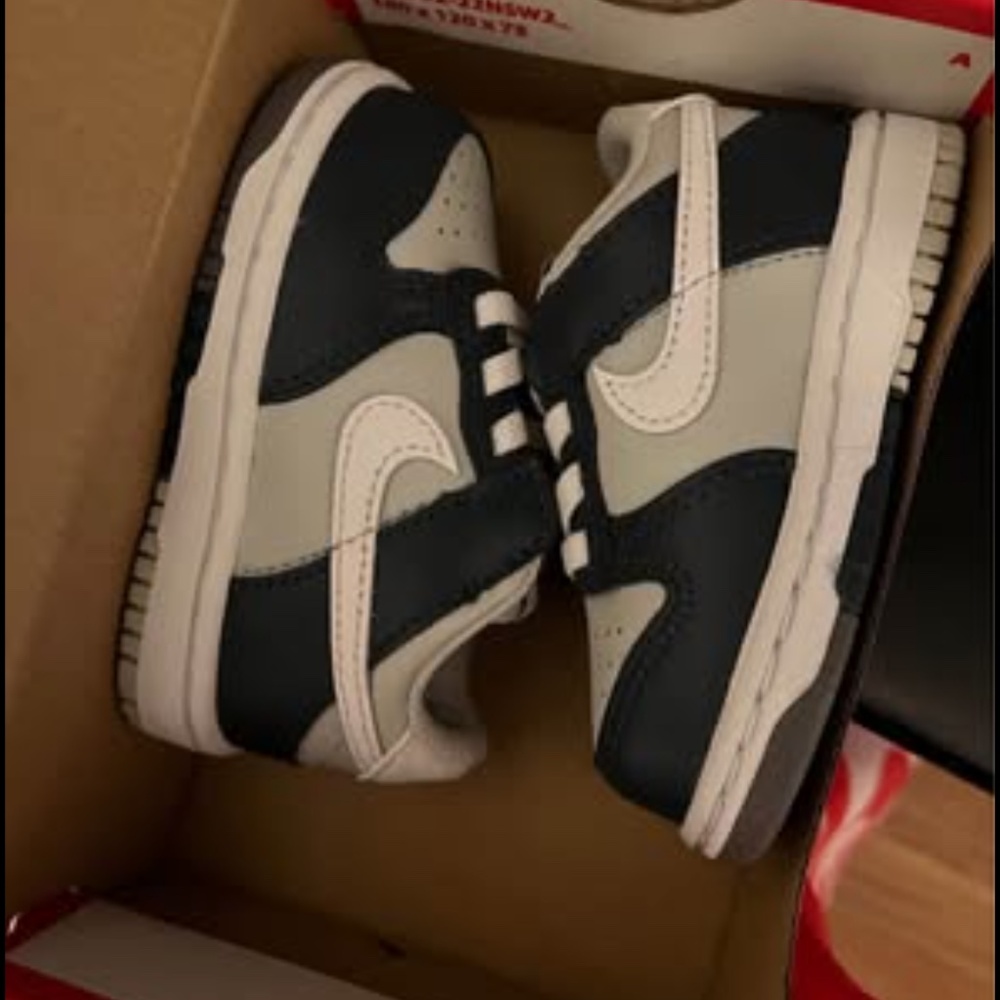 Nike Dunk Toddler